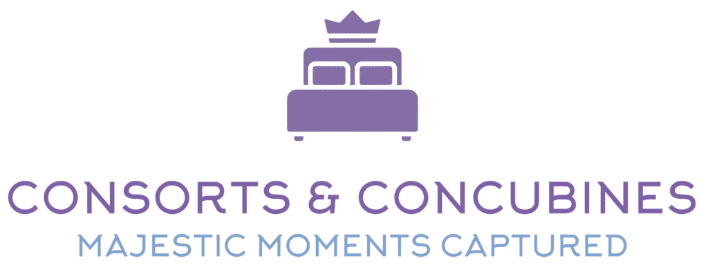 Consorts & Concubines LOGO