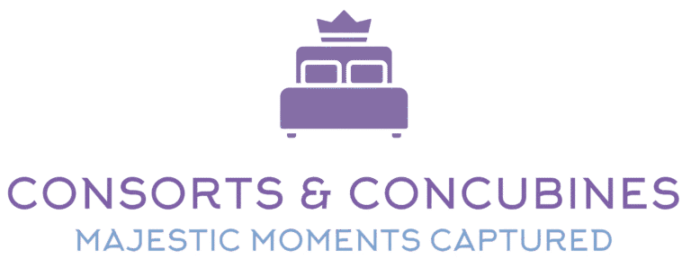 Consorts & Concubines LOGO